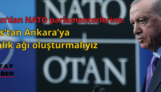 Erdoğan’dan NATO parlamenterlerine: Teksas’tan Ankara’ya  güvenlik ağı oluşturmalıyız!